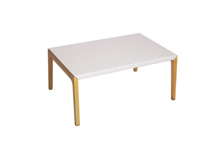 Armadillo Coffee Table