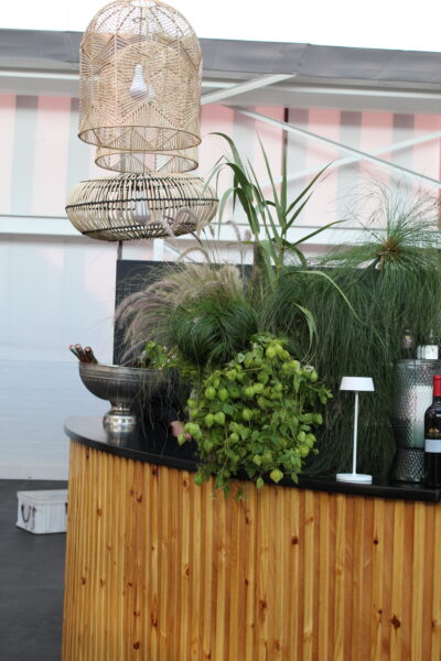 Sustainable Elegance: The Rise of Living Décor and Natural Elements in Modern Event Design 4 IMG 4546 1