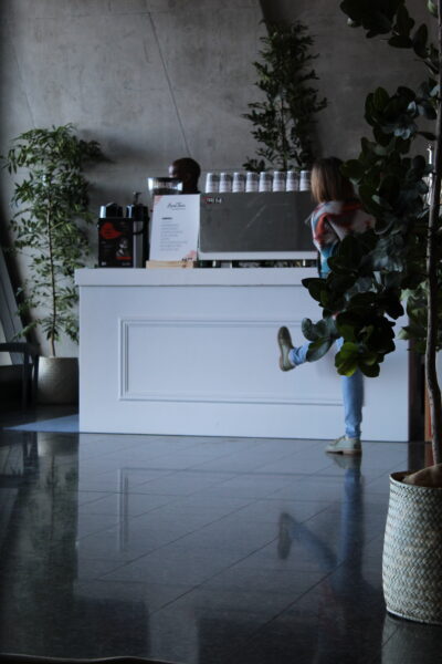 IMG 7047
